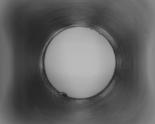 X0000100360908200806271421