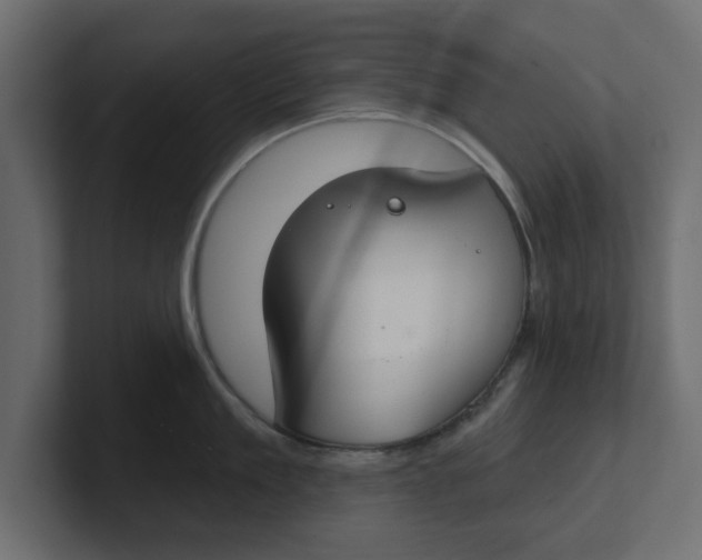 X0000100360909200806271421