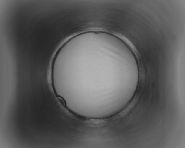 X0000100360910200806271421