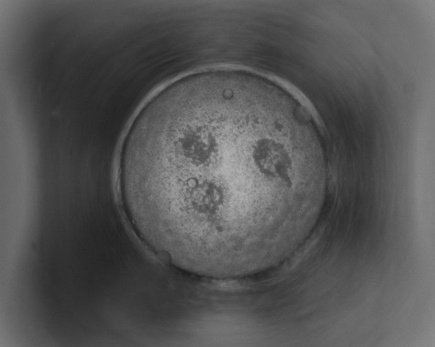 X0000100360911200806271421