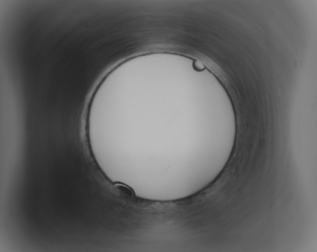 X0000100360912200806271421