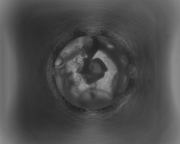 X0000100360913200806271420