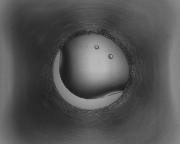 X0000100360916200806271420