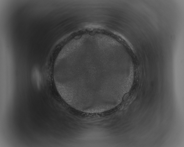 X0000100360919200806271420