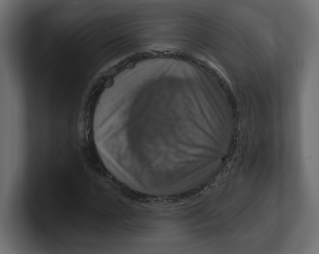 X0000100360920200806271420