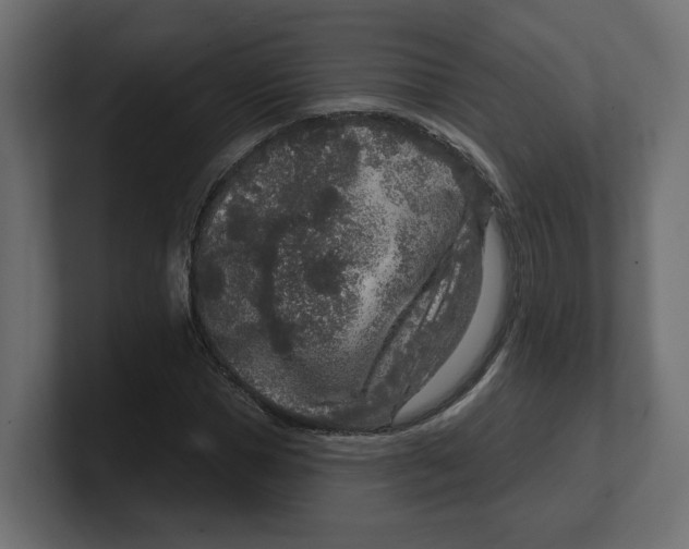 X0000100360921200806271420