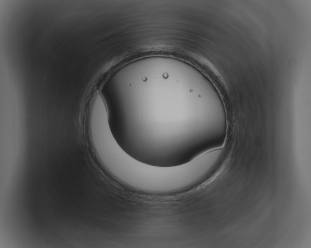 X0000100360922200806271420