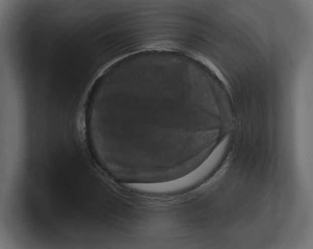 X0000100360923200806271420