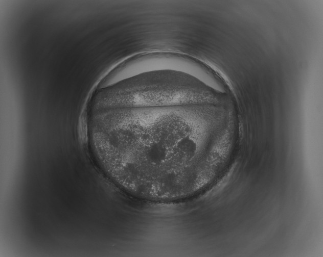 X0000100360925200806271420