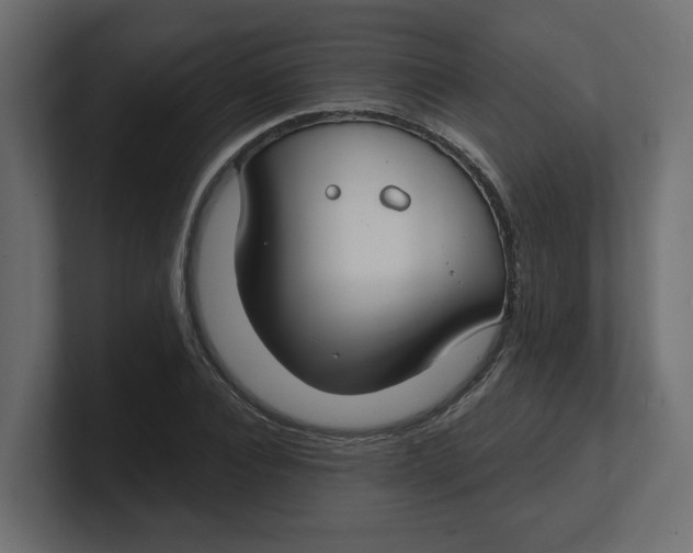 X0000100360928200806271420