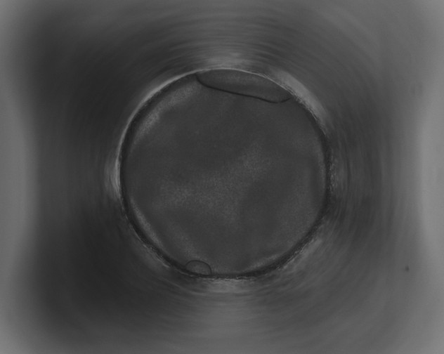 X0000100360932200806271420