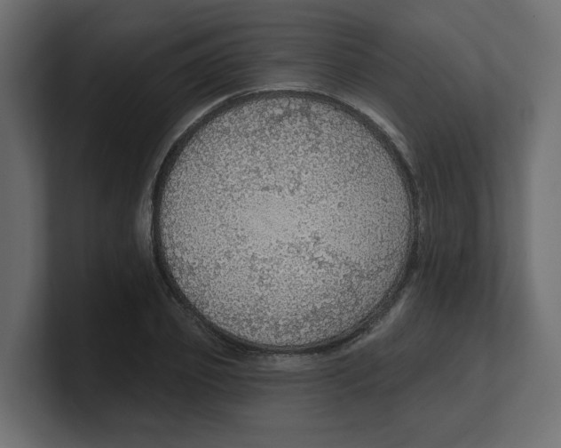 X0000100360933200806271420