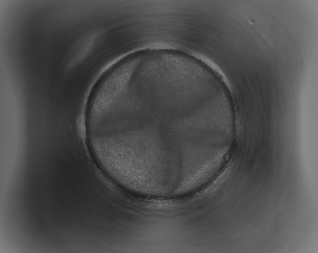 X0000100360935200806271420