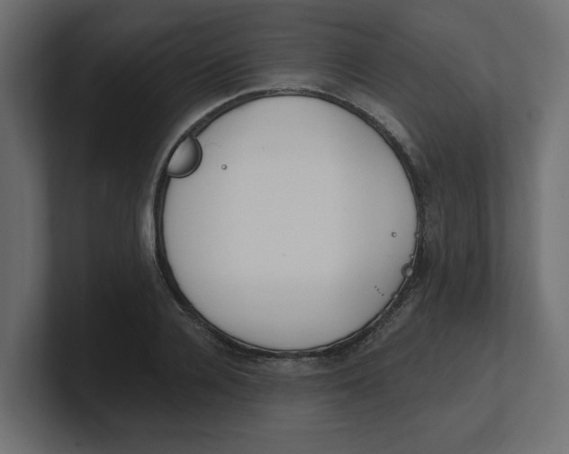 X0000100360936200806271420