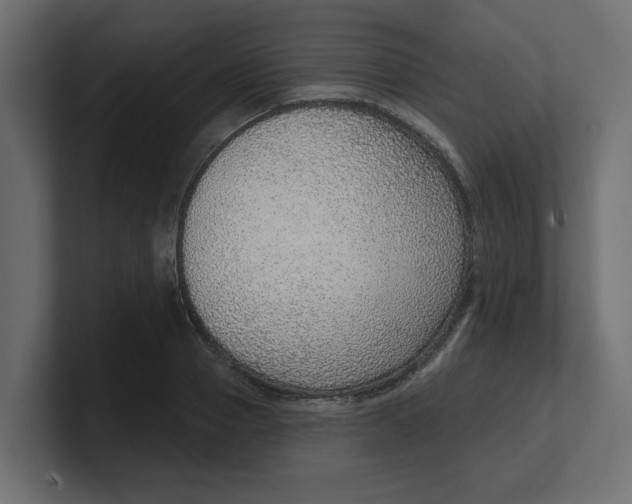 X0000100360937200806271420