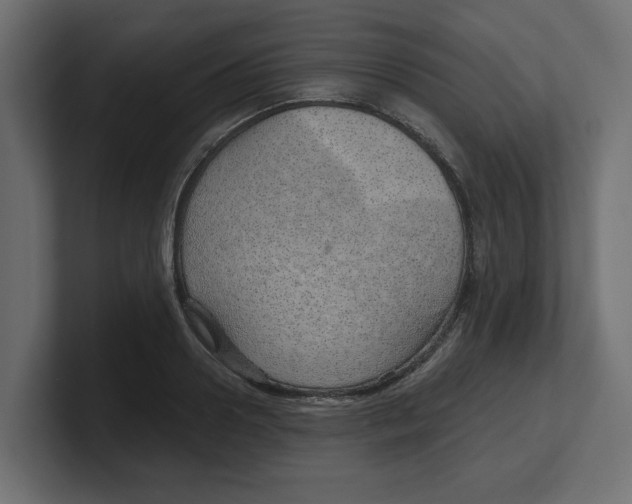 X0000100360938200806271420