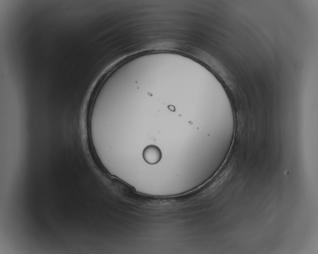 X0000100360939200806271420