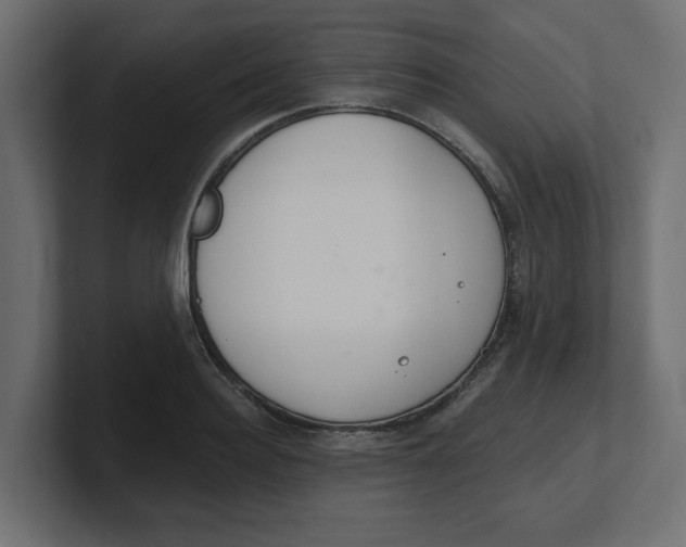 X0000100360940200806271421