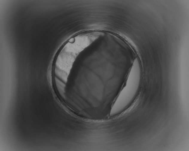 X0000100360941200806271421