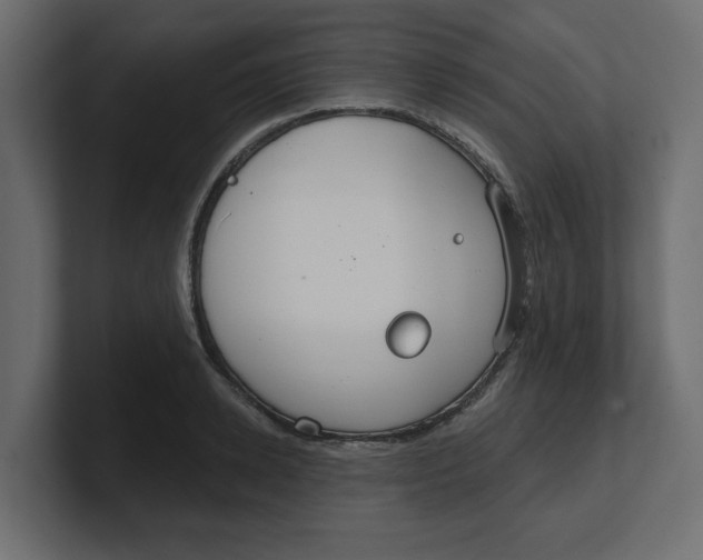 X0000100360942200806271421