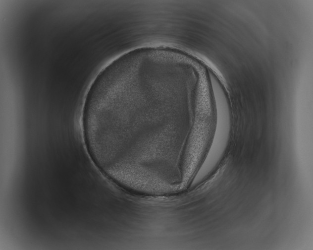 X0000100360943200806271421