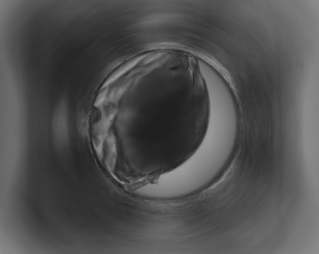 X0000100360945200806271421