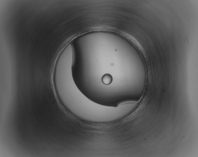 X0000100360946200806271421