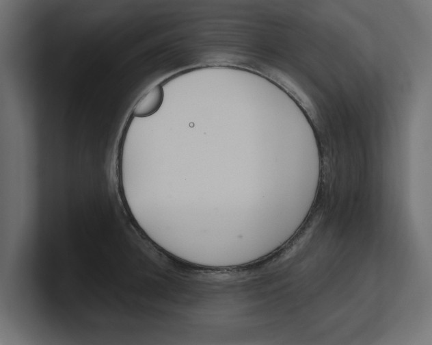 X0000100360948200806271421