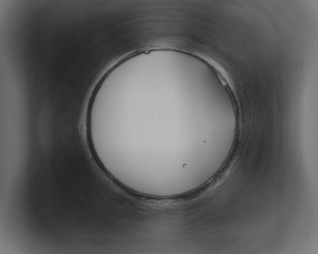 X0000100360949200806271421