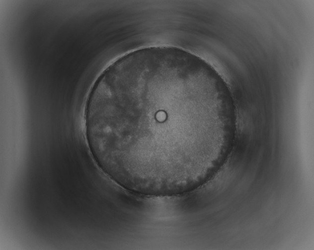 X0000100360950200806271421