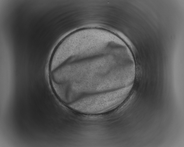 X0000100360951200806271421