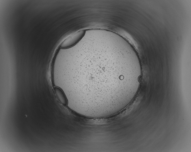 X0000100360952200806271421