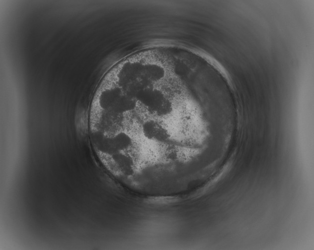 X0000100360953200806271421