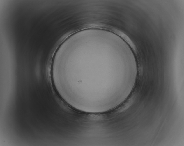 X0000100360954200806271421