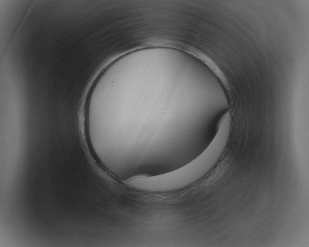 X0000100360955200806271421