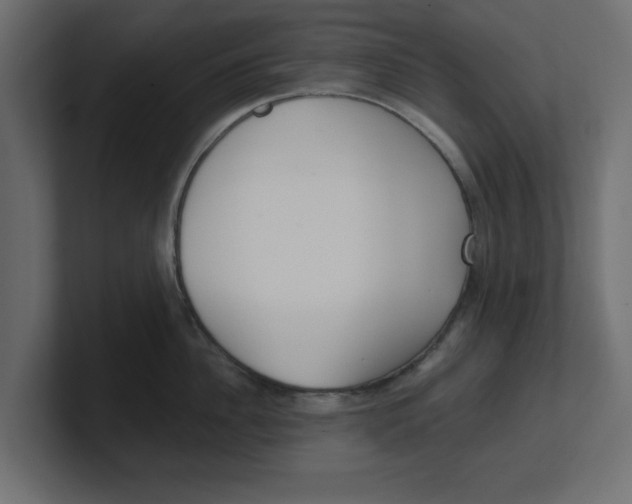 X0000100360956200806271421