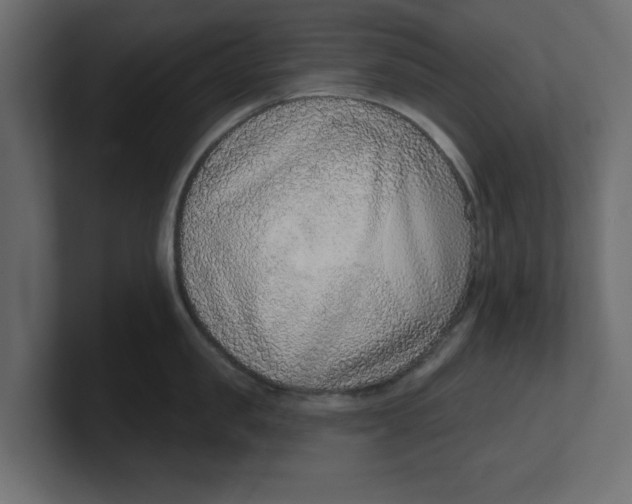 X0000100360957200806271421