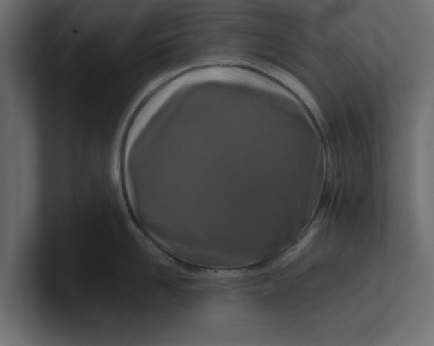 X0000100360958200806271421