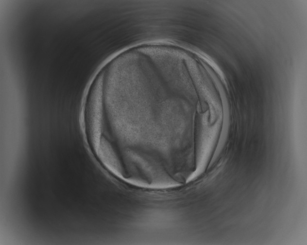 X0000100360959200806271421