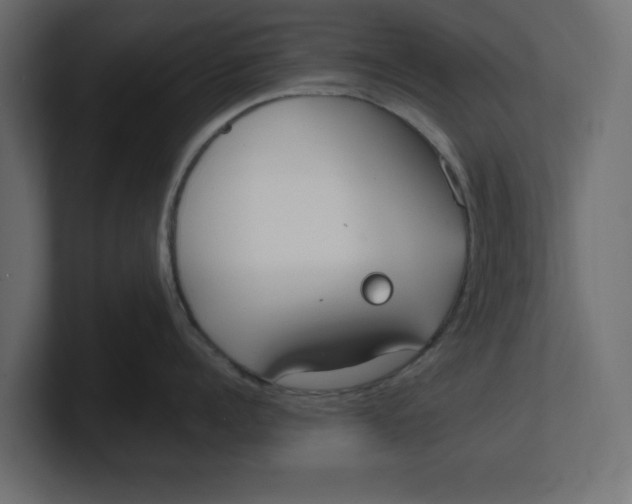 X0000100360960200806271421