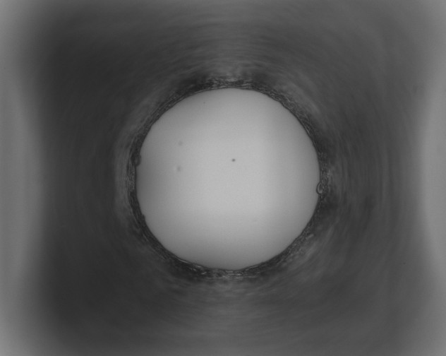 X0000100360961200806271420