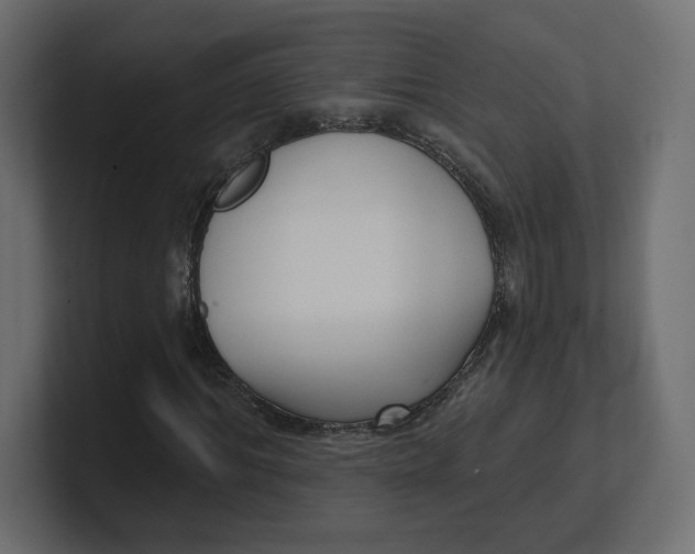 X0000100360964200806271420