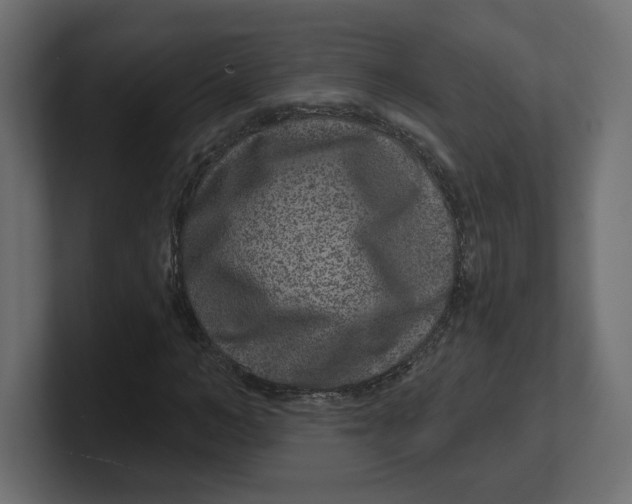 X0000100360966200806271420