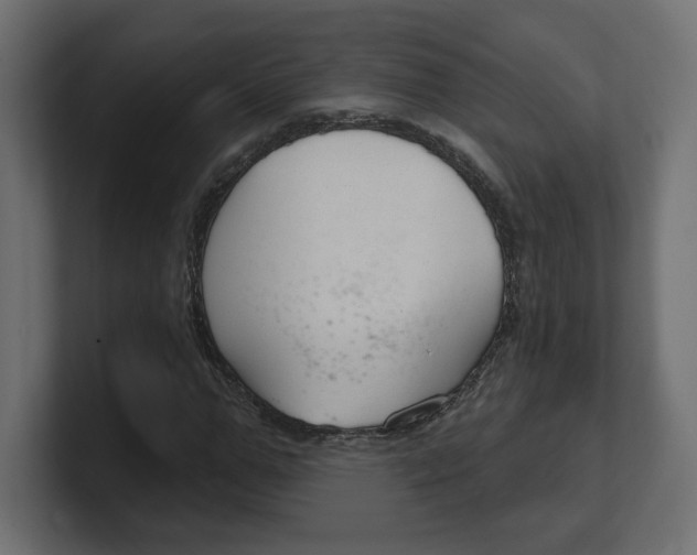 X0000100360967200806271420