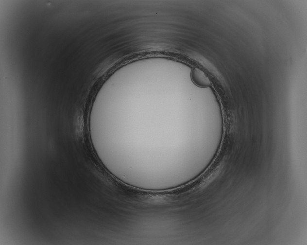 X0000100360969200806271420