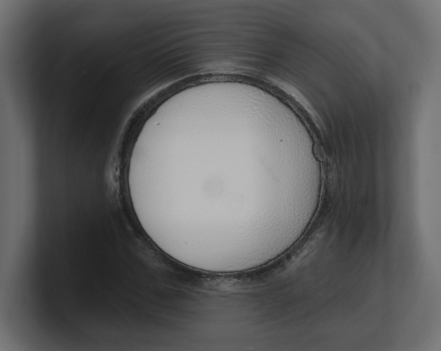 X0000100360971200806271420