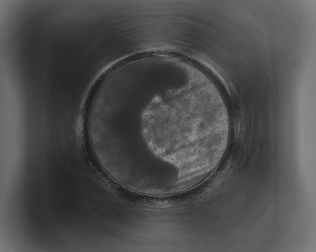 X0000100360975200806271420