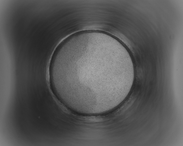 X0000100360980200806271420