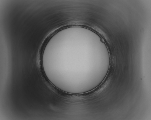 X0000100360981200806271420