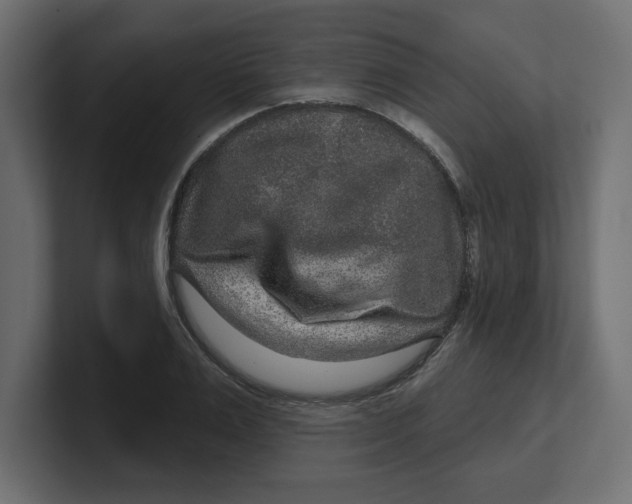 X0000100360983200806271420